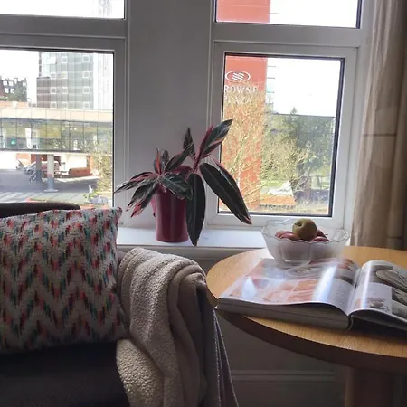 Guest house Conference View 4*