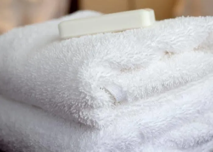 Guest house Conference View